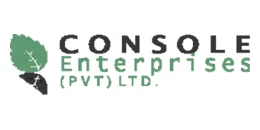 Console Enterprises